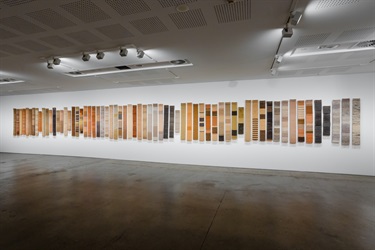 Weaving Eucalypts Project (detail) 2020-22 (installation view UNSW Galleries). Photo by Jacquie Manning