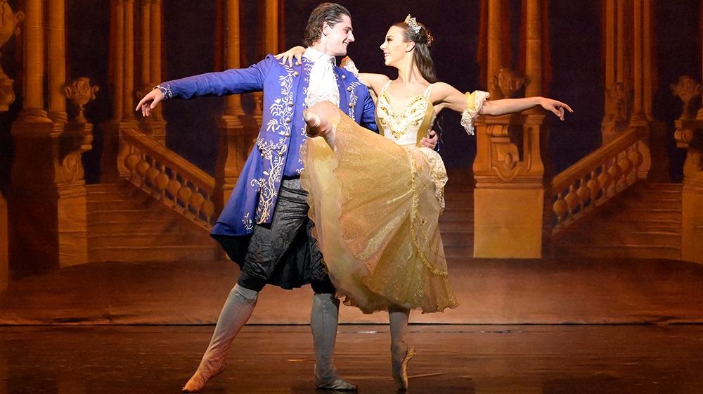 Beauty and the Beast image 1